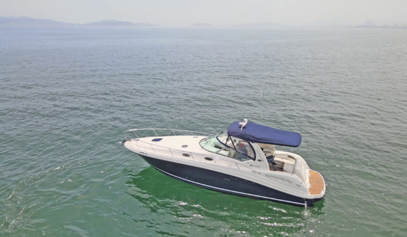 
								SEA RAY SUNDANCER 37.5 full									