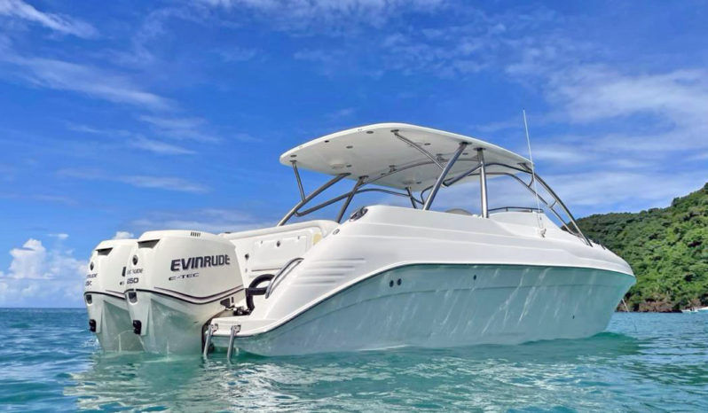 
								INTERMARINE SPORT 35 full									