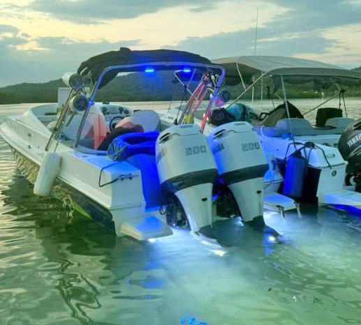 
								INTERMARINE Z29 full									