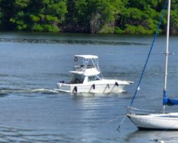 
										SEA RAY SPORT BRIDGE 30 full									