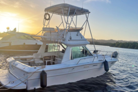 SEA RAY SPORT BRIDGE 30