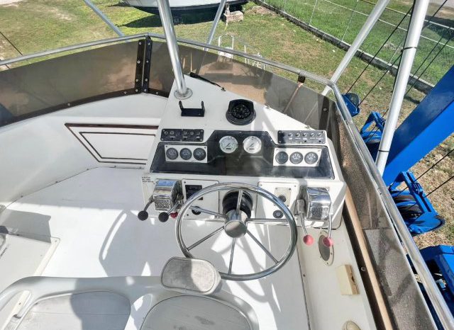 
								SEA RAY SPORT BRIDGE 30 full									