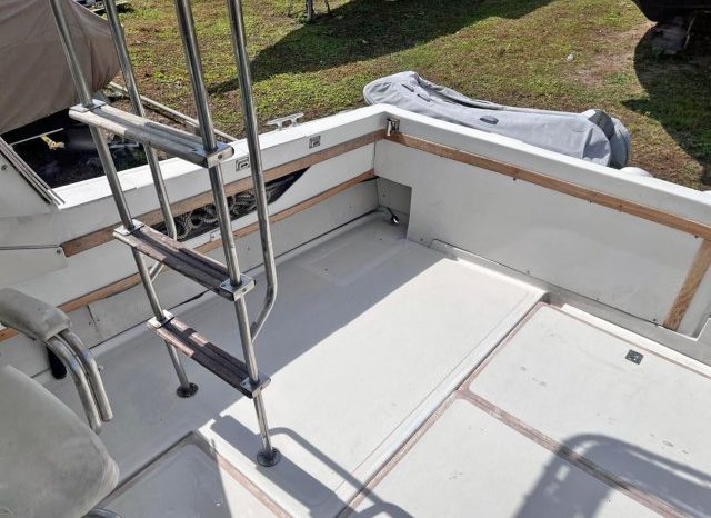 
								SEA RAY SPORT BRIDGE 30 full									