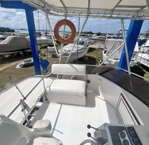 
								SEA RAY SPORT BRIDGE 30 full									