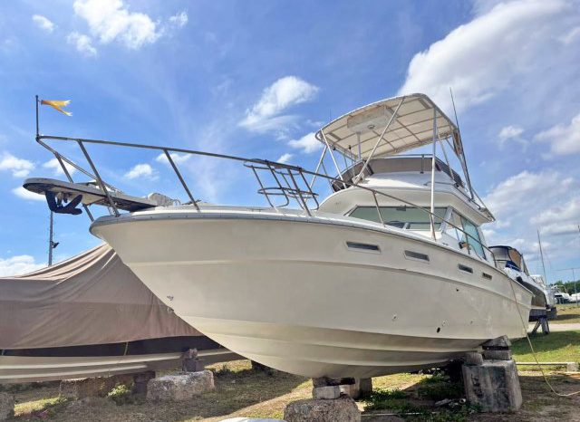 
								SEA RAY SPORT BRIDGE 30 full									