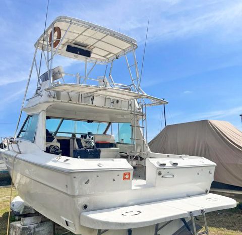 
								SEA RAY SPORT BRIDGE 30 full									