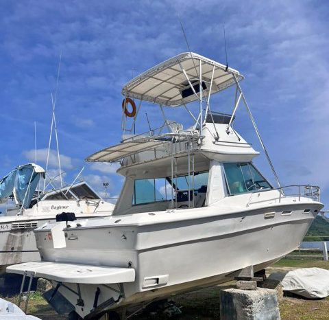 
								SEA RAY SPORT BRIDGE 30 full									