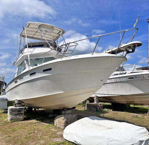 
								SEA RAY SPORT BRIDGE 30 full									