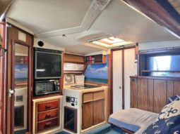 
										SEA RAY SPORT BRIDGE 30 full									