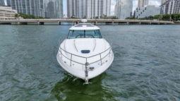 
										SEA RAY SUNDANCER 43 full									