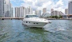 
										SEA RAY SUNDANCER 43 full									