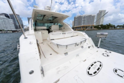 
										SEA RAY SUNDANCER 43 full									