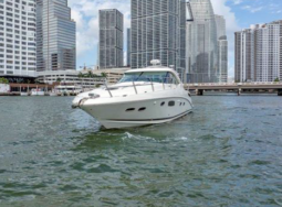 
										SEA RAY SUNDANCER 43 full									