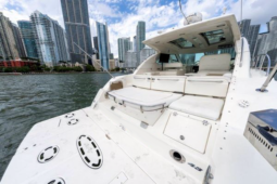 
										SEA RAY SUNDANCER 43 full									