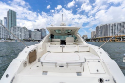 
										SEA RAY SUNDANCER 43 full									