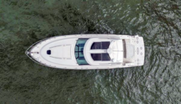 
										SEA RAY SUNDANCER 43 full									