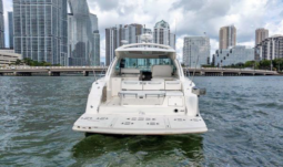 
										SEA RAY SUNDANCER 43 full									