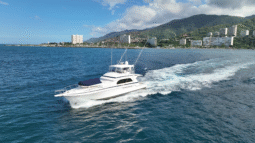 
										BERTRAM CONVERTIBLE 60 full									