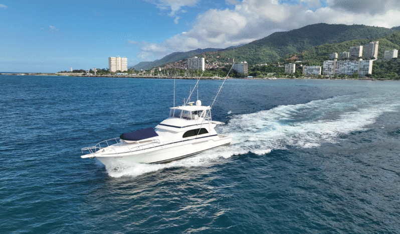 
								BERTRAM CONVERTIBLE 60 full									