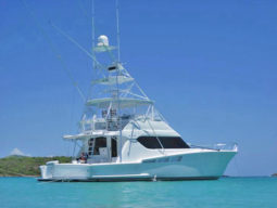 HATTERAS CONVERTIBLE 60