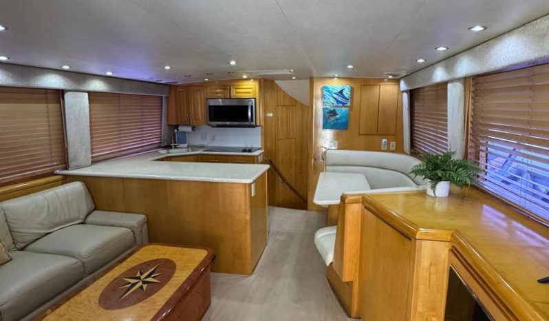 
								HATTERAS CONVERTIBLE 60 full									