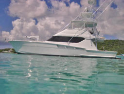 
										HATTERAS CONVERTIBLE 60 full									