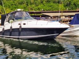 
										SEA RAY SUNDANCER 34 full									