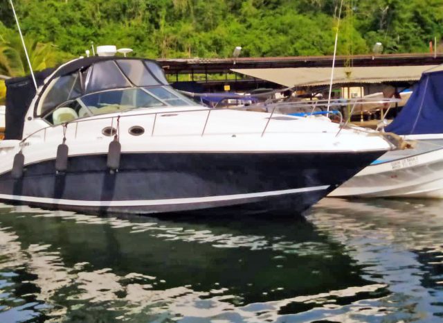 
								SEA RAY SUNDANCER 34 full									