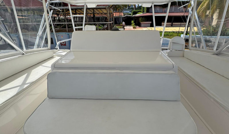 
								VIKING CONVERTIBLE 68 full									