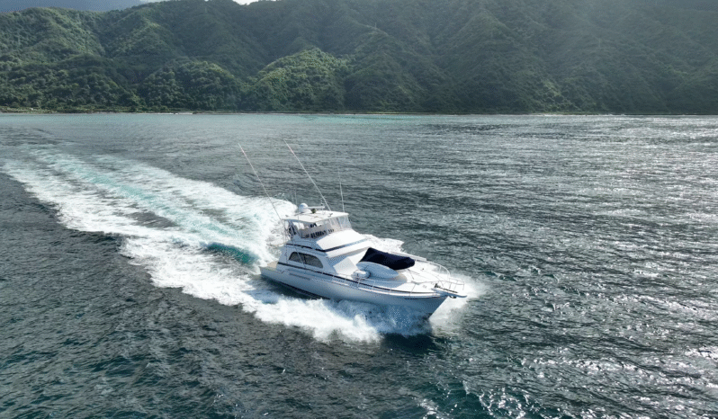 
								BERTRAM CONVERTIBLE 60 full									