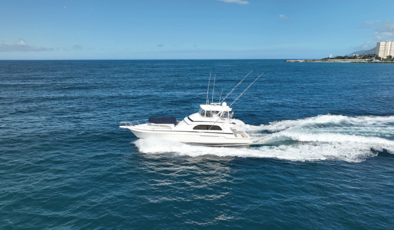 
								BERTRAM CONVERTIBLE 60 full									
