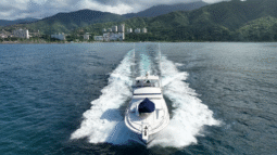 
										BERTRAM CONVERTIBLE 60 full									