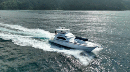 
										BERTRAM CONVERTIBLE 60 full									