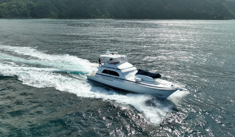 
								BERTRAM CONVERTIBLE 60 full									