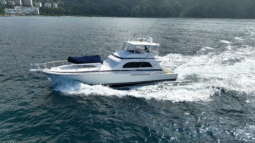 
										BERTRAM CONVERTIBLE 60 full									