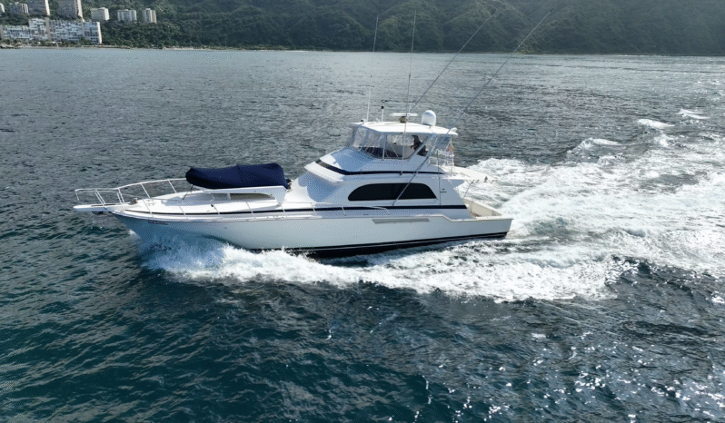 
								BERTRAM CONVERTIBLE 60 full									