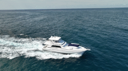 
										BERTRAM CONVERTIBLE 60 full									