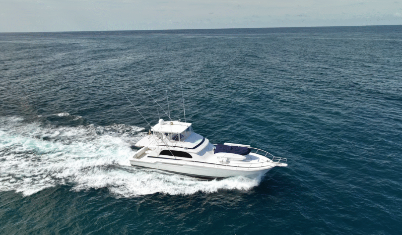 
								BERTRAM CONVERTIBLE 60 full									
