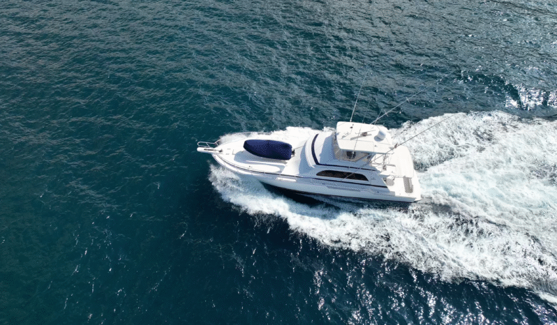 
								BERTRAM CONVERTIBLE 60 full									