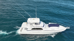 
										BERTRAM CONVERTIBLE 60 full									