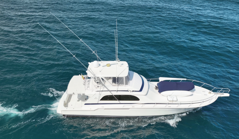 
								BERTRAM CONVERTIBLE 60 full									