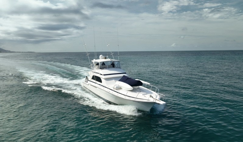 
								BERTRAM CONVERTIBLE 60 full									