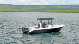 BOSTON WHALER 21