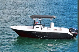 BOSTON WHALER 21