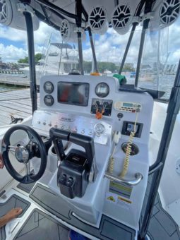 
										BOSTON WHALER 21 full									