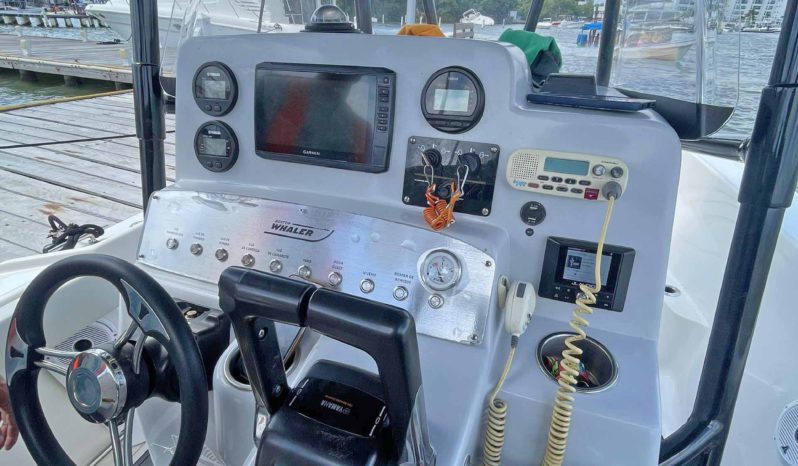 
								BOSTON WHALER 21 full									