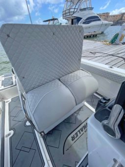 
										BOSTON WHALER 21 full									