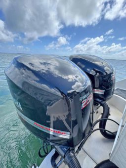 
										BOSTON WHALER 21 full									