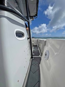 BOSTON WHALER 21