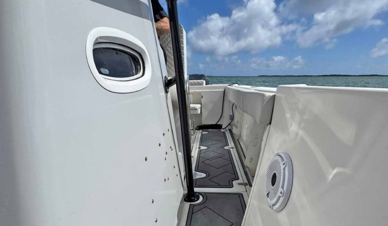 
								BOSTON WHALER 21 full									